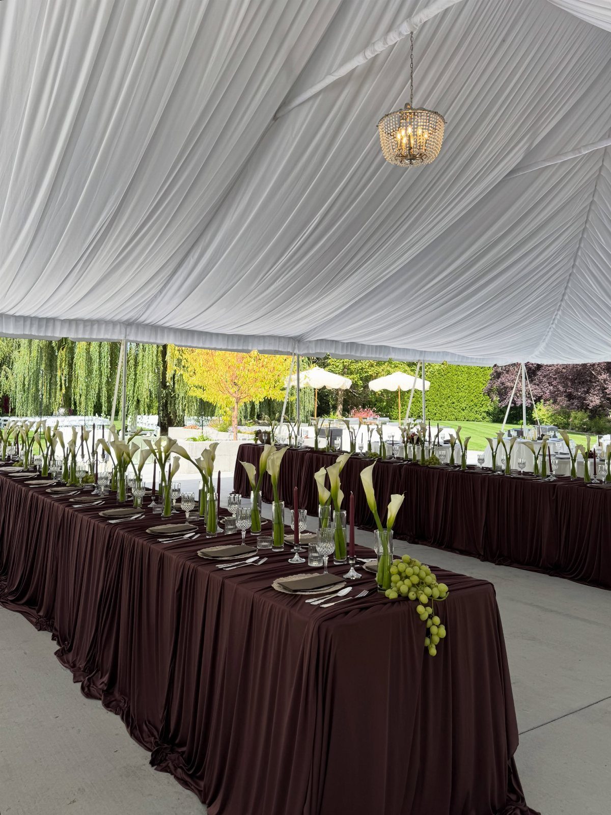 Long banquet tables with dark brown pleated linens and white calla lily centerpieces under a white tent.