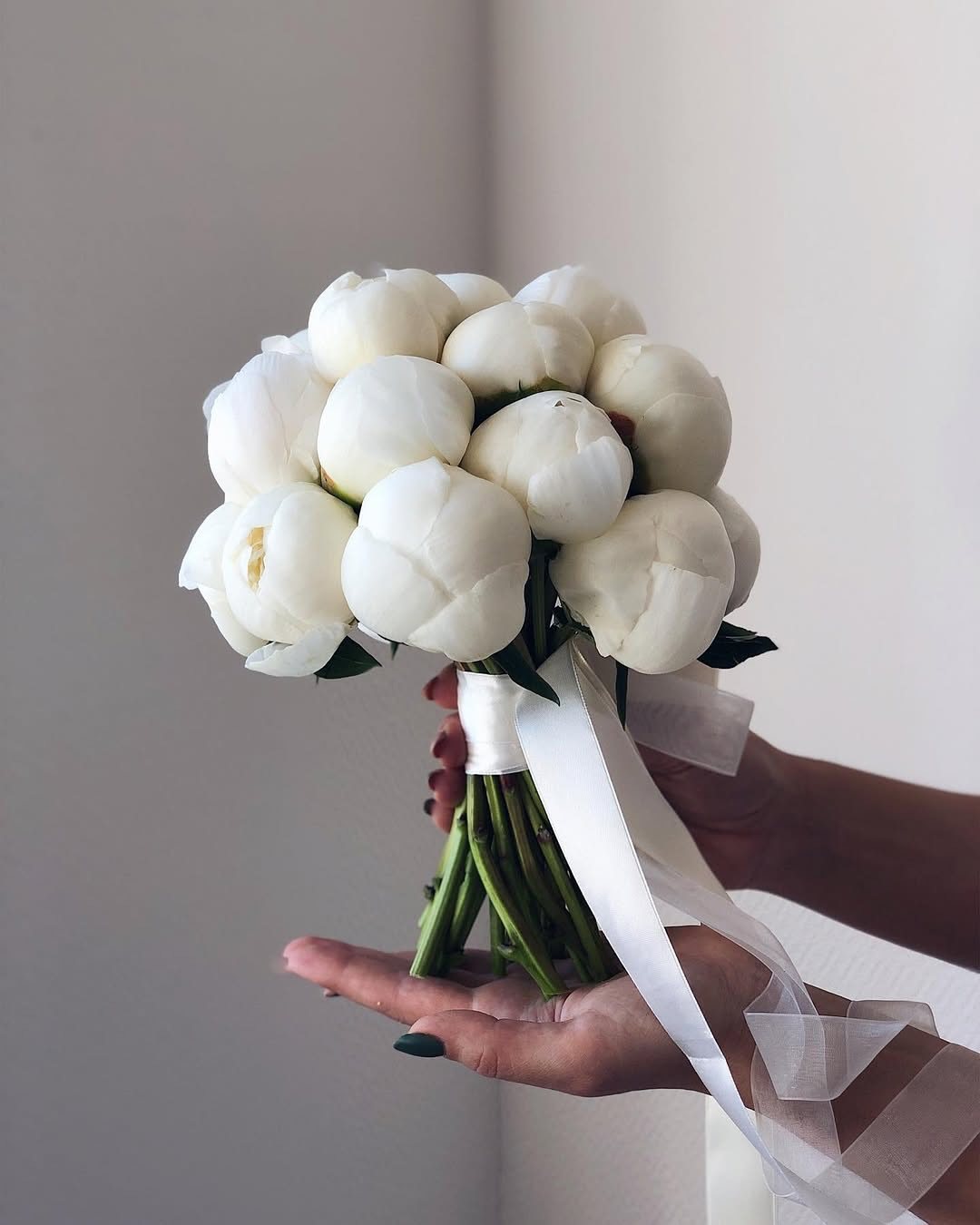 A bouquet of white peonies held by hands with long white ribbons hanging down.